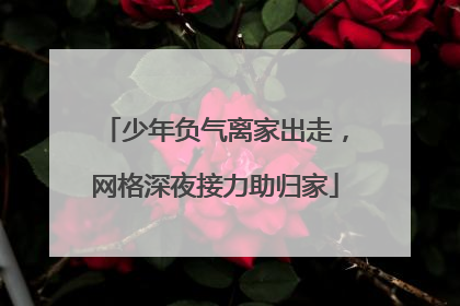 少年负气离家出走，网格深夜接力助归家