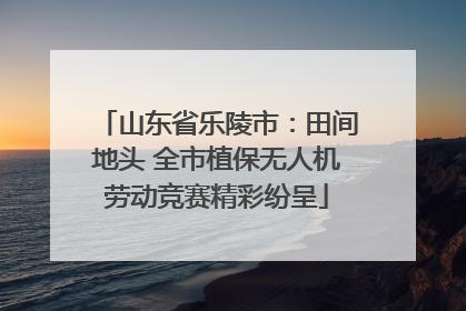 山东省乐陵市：田间地头 全市植保无人机劳动竞赛精彩纷呈