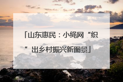 山东惠民：小绳网“织”出乡村振兴新图景