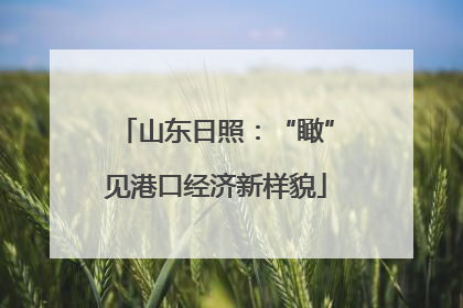 山东日照：“瞰”见港口经济新样貌