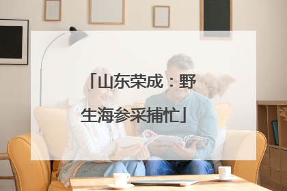 山东荣成：野生海参采捕忙
