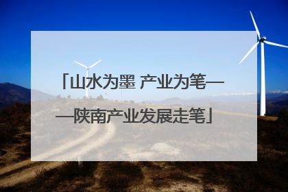 山水为墨 产业为笔——陕南产业发展走笔