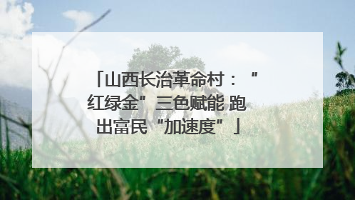 山西长治革命村：“红绿金”三色赋能 跑出富民“加速度”