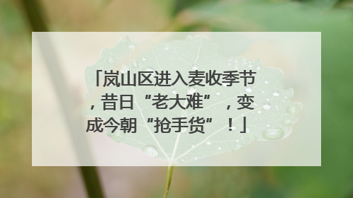 岚山区进入麦收季节，昔日“老大难”，变成今朝“抢手货”！