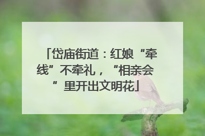 岱庙街道：红娘“牵线”不牵礼，“相亲会”里开出文明花