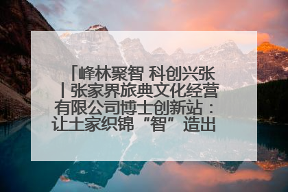峰林聚智 科创兴张丨张家界旅典文化经营有限公司博士创新站：让土家织锦“智”造出非遗新传奇