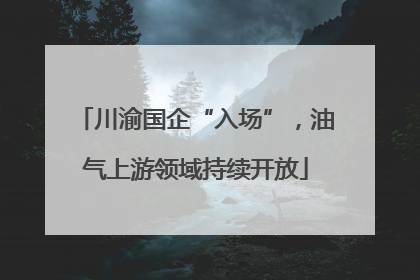 川渝国企“入场”，油气上游领域持续开放