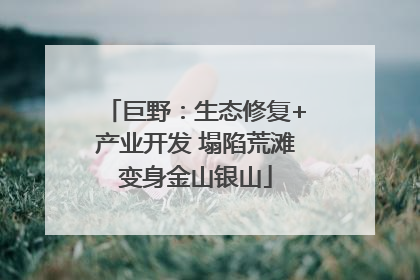 巨野：生态修复+产业开发 塌陷荒滩变身金山银山