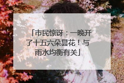 市民惊讶：一晚开了十五六朵昙花！与雨水均衡有关