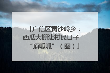 广信区黄沙岭乡：西瓜大棚让村民日子“顶呱呱”（图）