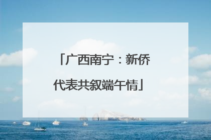 广西南宁：新侨代表共叙端午情