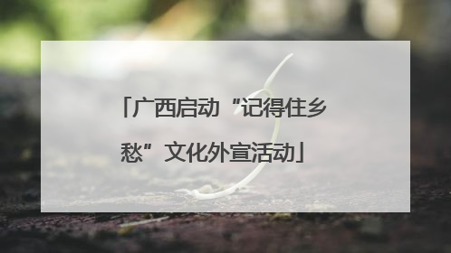 广西启动“记得住乡愁”文化外宣活动