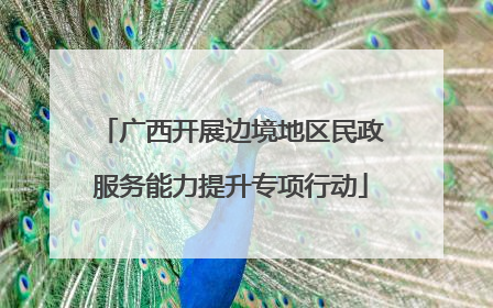 广西开展边境地区民政服务能力提升专项行动