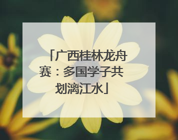 广西桂林龙舟赛：多国学子共划漓江水