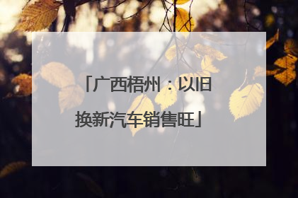 广西梧州：以旧换新汽车销售旺