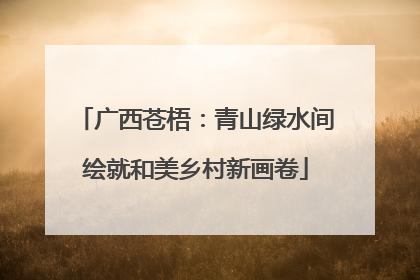 广西苍梧：青山绿水间绘就和美乡村新画卷