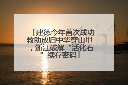 建德今年首次成功救助放归中华穿山甲，浙江破解“活化石”续存密码