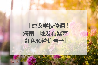 建议学校停课！海南一地发布暴雨红色预警信号→
