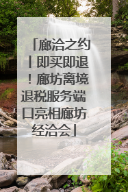 廊洽之约丨即买即退！廊坊离境退税服务端口亮相廊坊经洽会
