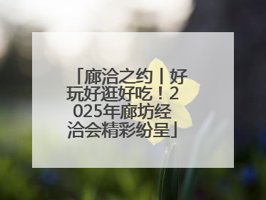 廊洽之约丨好玩好逛好吃！2025年廊坊经洽会精彩纷呈