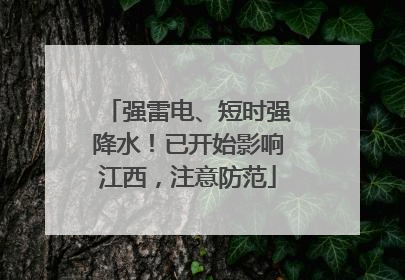强雷电、短时强降水！已开始影响江西，注意防范
