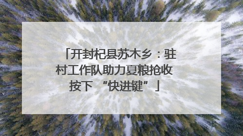 开封杞县苏木乡：驻村工作队助力夏粮抢收按下 “快进键”