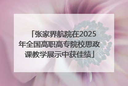张家界航院在2025年全国高职高专院校思政课教学展示中获佳绩