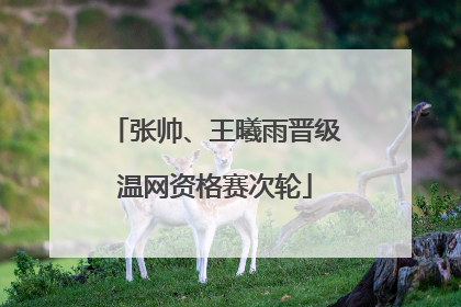 张帅、王曦雨晋级温网资格赛次轮