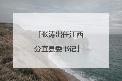 张涛出任江西分宜县委书记
