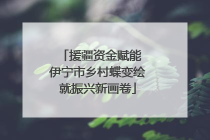 援疆资金赋能 伊宁市乡村蝶变绘就振兴新画卷