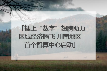 插上“数字”翅膀助力区域经济腾飞 川南地区首个智算中心启动