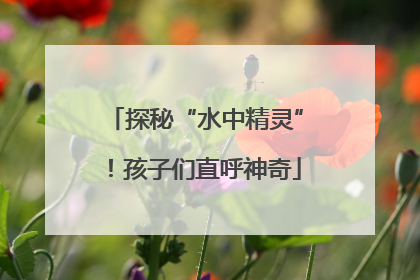 探秘“水中精灵”！孩子们直呼神奇