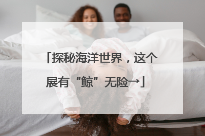 探秘海洋世界，这个展有“鲸”无险→