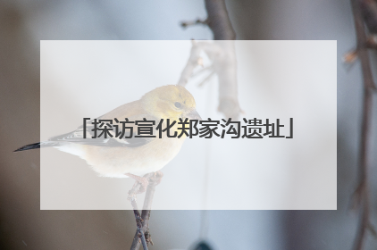 探访宣化郑家沟遗址