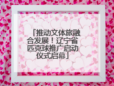 推动文体旅融合发展！辽宁省匹克球推广启动仪式启幕