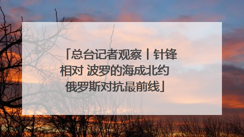 总台记者观察丨针锋相对 波罗的海成北约俄罗斯对抗最前线