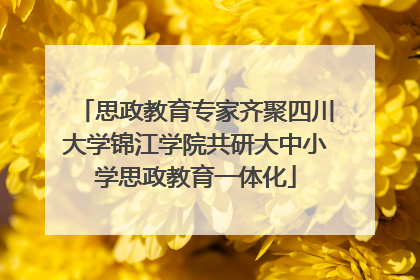 思政教育专家齐聚四川大学锦江学院共研大中小学思政教育一体化