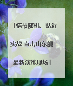 情节随机、贴近实战 直击山东舰最新演练现场
