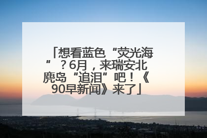想看蓝色“荧光海”？6月，来瑞安北麂岛“追泪”吧！《90早新闻》来了