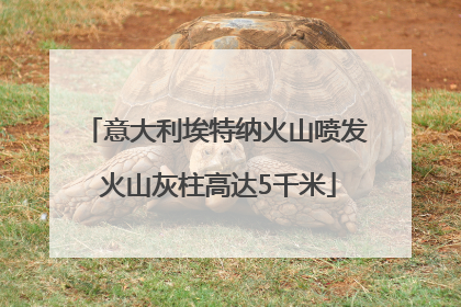 意大利埃特纳火山喷发 火山灰柱高达5千米