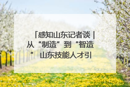 感知山东记者谈｜从“制造”到“智造” 山东技能人才引领产业升级