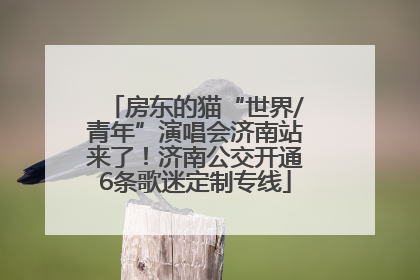 房东的猫“世界/青年”演唱会济南站来了！济南公交开通6条歌迷定制专线