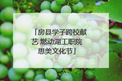 房县学子跨校献艺 燃动湖工职院思美文化节