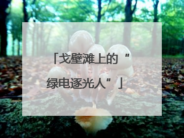 戈壁滩上的“绿电逐光人”
