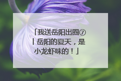 我送岳阳出圈⑦丨岳阳的夏天，是小龙虾味的！