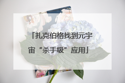 扎克伯格找到元宇宙“杀手级”应用