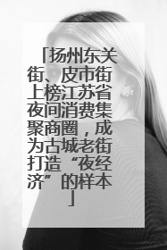 扬州东关街、皮市街上榜江苏省夜间消费集聚商圈，成为古城老街打造“夜经济”的样本