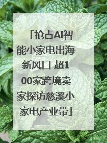 抢占AI智能小家电出海新风口 超100家跨境卖家探访慈溪小家电产业带