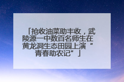 抢收油菜助丰收，武陵源一中数百名师生在黄龙洞生态田园上演“青春助农记”