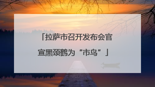 拉萨市召开发布会官宣黑颈鹤为“市鸟”